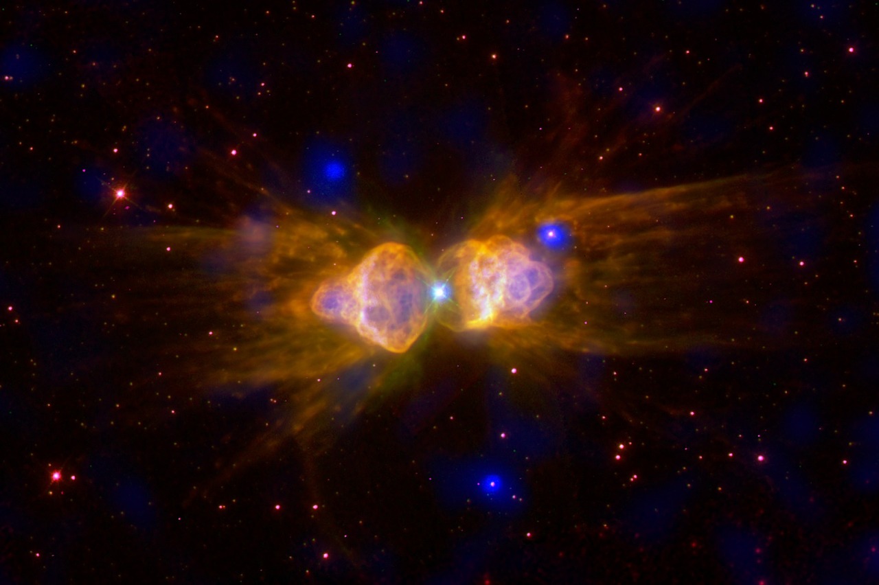 ant nebula